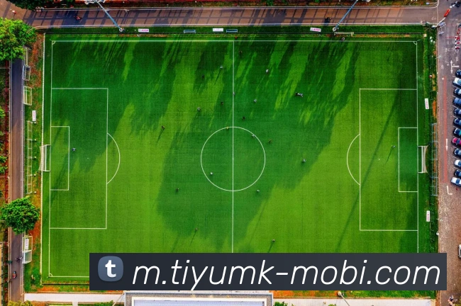 多媒体互动体验