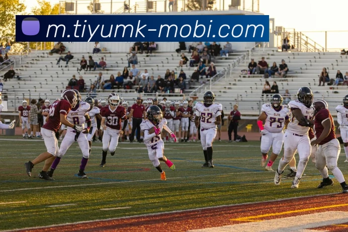 MK体育APP 高清赛事图