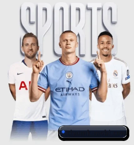 每个板块围绕一个运动项目展开 - 多运动项目内容板块（MKSPORTS）